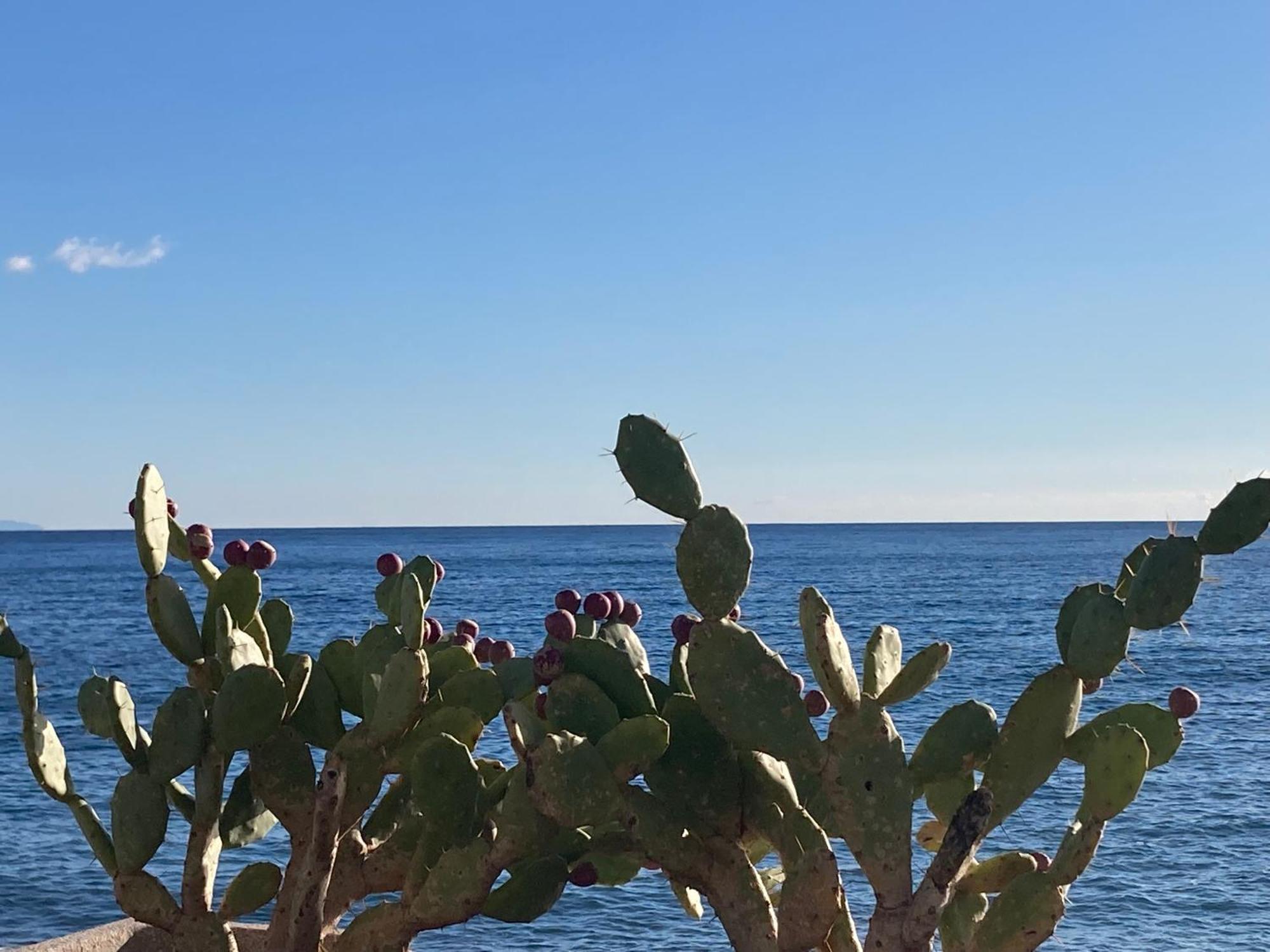 Taliari Taormina Apartment Εξωτερικό φωτογραφία